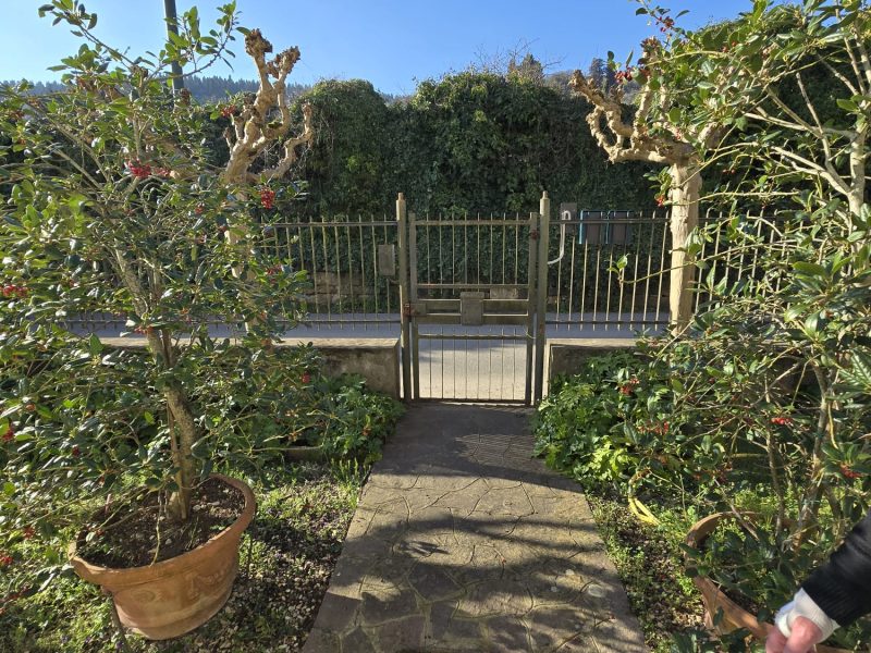 WhatsApp Image 2026-03-24 at 18.20.43 (3)