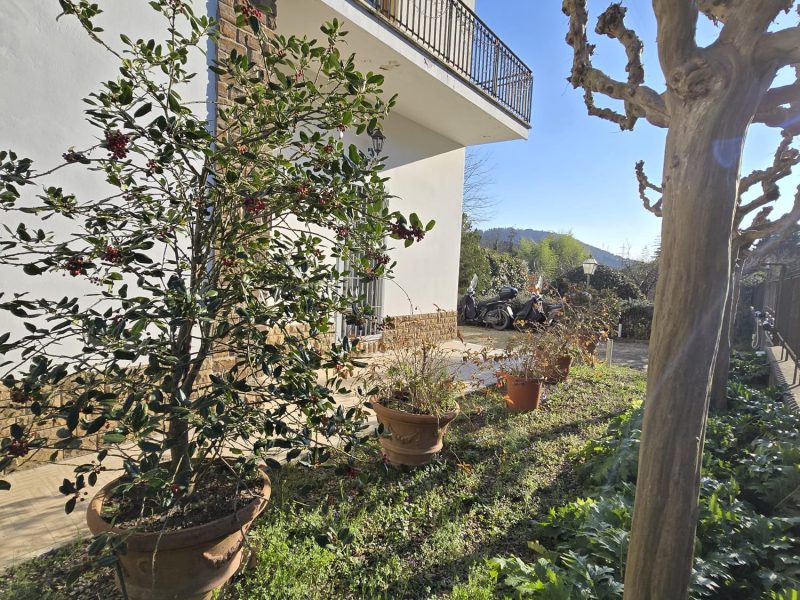 WhatsApp Image 2026-03-24 at 18.20.43