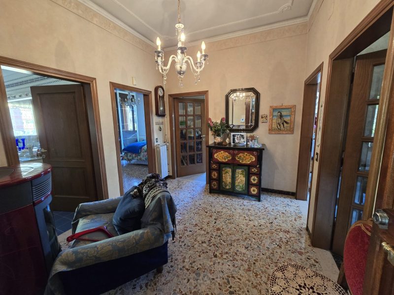 WhatsApp Image 2026-03-24 at 18.20.44 (2)