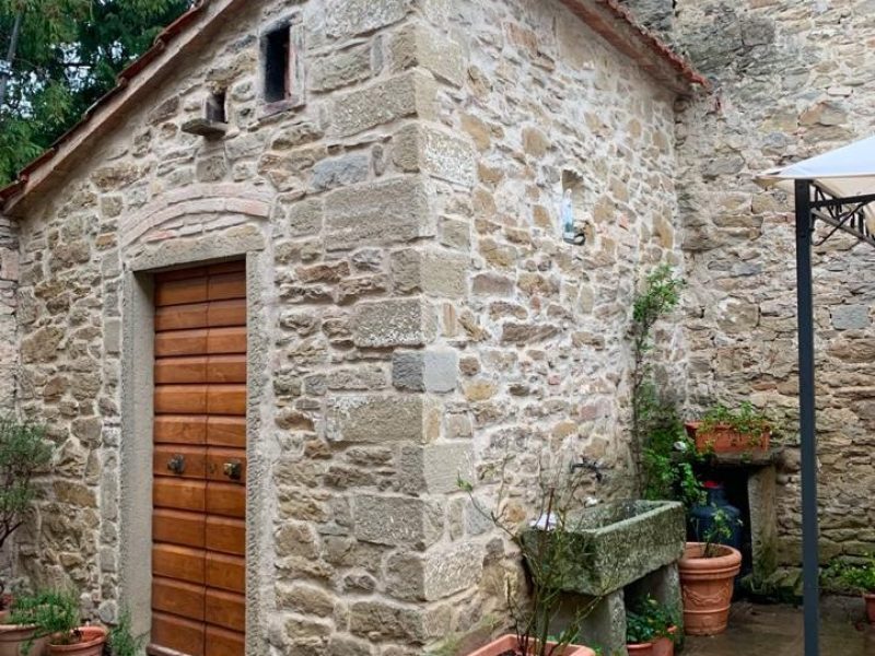 WhatsApp Image 2026-03-25 at 11.37.55 (1)