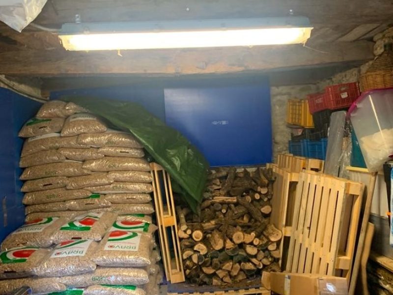 WhatsApp Image 2026-03-25 at 11.37.59 (2)