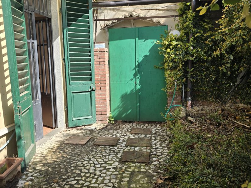 WhatsApp Image 2026-03-31 at 11.42.49