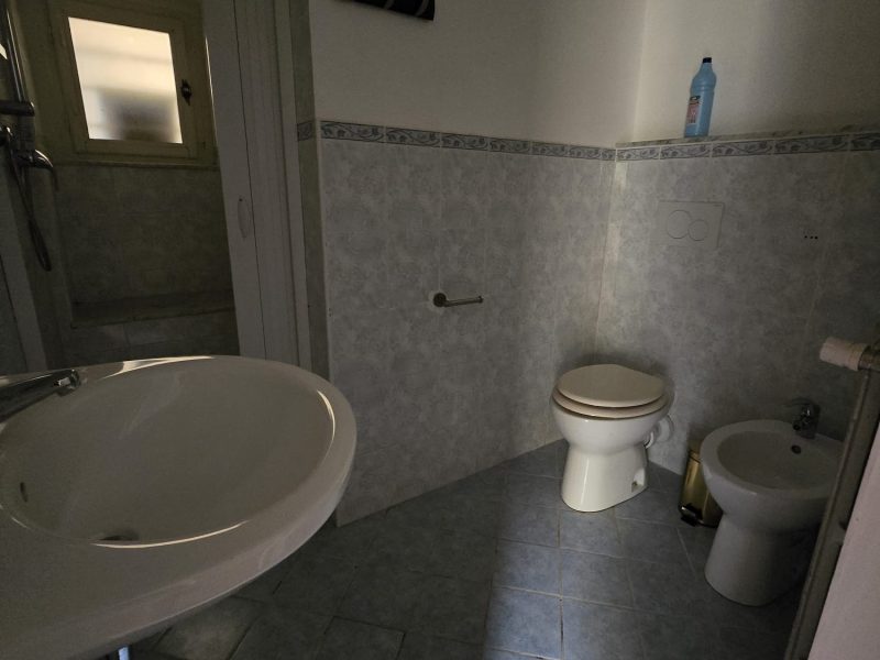 WhatsApp Image 2026-03-31 at 11.42.50 (2)